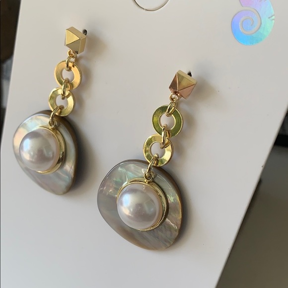 JVW Jewelry - New Zealand Sea Shell Earrings